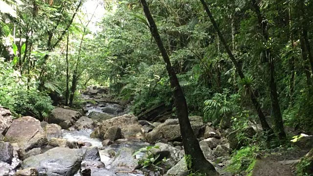 波多黎各云克的风景视频素材