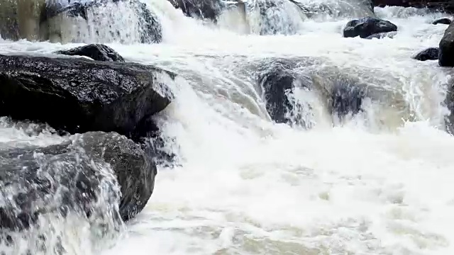 热带森林中一条小河中水流的缓慢运动。视频素材