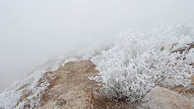 在石质山坡上的运动。岩石和草地上覆盖着白霜视频素材