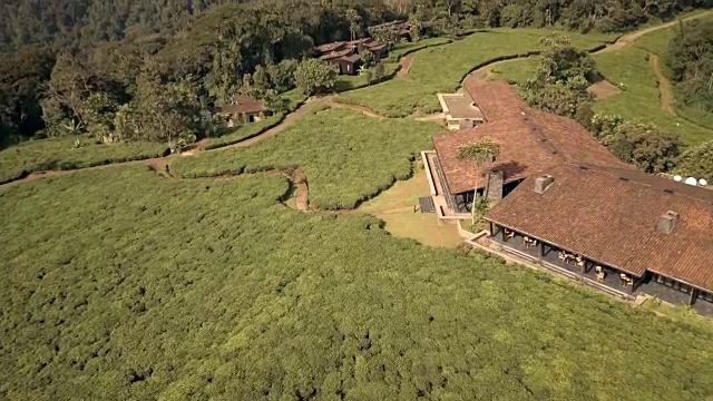 Nyungwe House位于Nyungwe国家公园边上的丰富的茶园之中视频素材