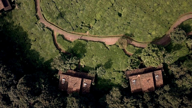 Nyungwe House位于Nyungwe国家公园边上的丰富的茶园之中视频素材