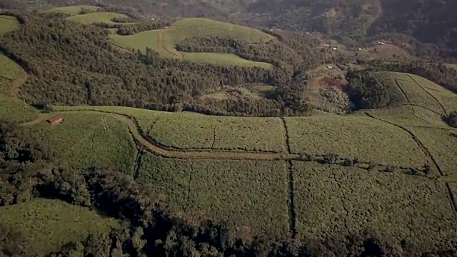 Nyungwe House位于Nyungwe国家公园边上的丰富的茶园之中视频下载