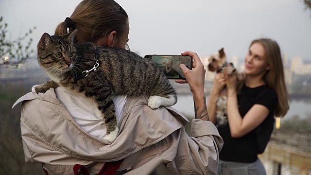 Selfy。一个肩上扛着一只猫的女孩带着一个女孩和一只狗视频素材