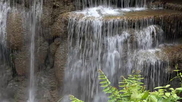 绿林溪流视频素材