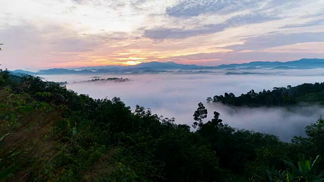 晨雾在山间流淌，热带雨林和美丽的日出风景一览无余视频素材