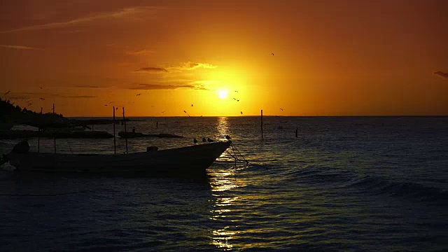 Holbox岛日落海滩在加勒比海的墨西哥视频素材