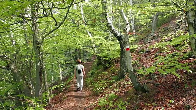 女背包客徒步在森林里的小路上视频素材