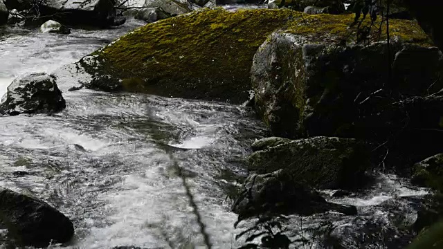 长满青苔的山区河流视频素材