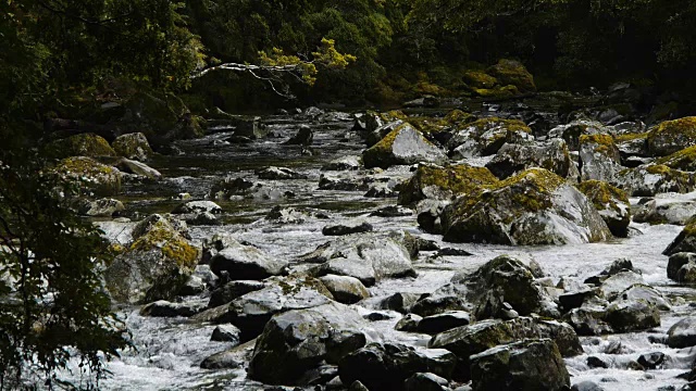 荒野山区河流视频素材