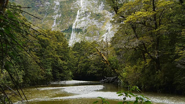 美丽的雨林河和瀑布视频素材