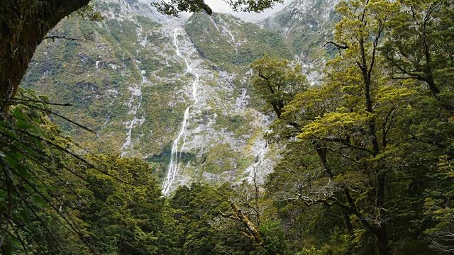 美丽的雨林、河流和瀑布视频素材