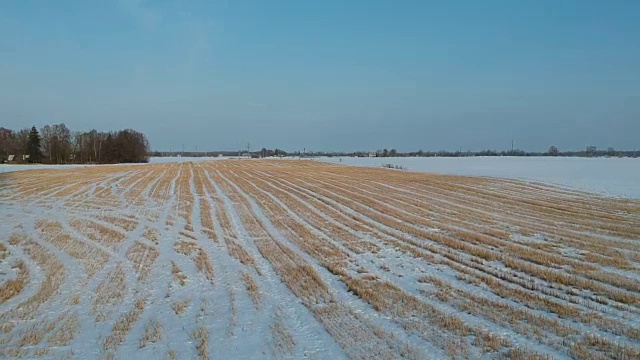 无人机在冬雪中的麦茬地上飞行视频素材