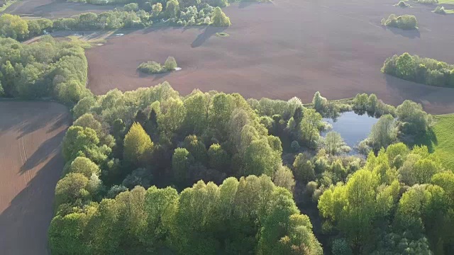 春季景观有播种的田地，池塘和灌木丛，鸟瞰图视频素材