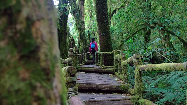 多莉拍摄的嬉皮旅行者与背包行走和享受美丽的自然。旅行的概念。视频素材