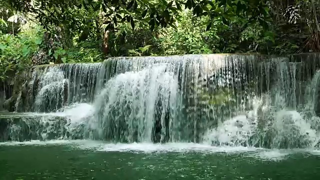 森林中的淡水瀑布视频素材