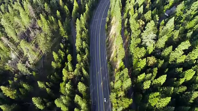 无人驾驶飞机的视图，在森林公路以北的加州内华达山脉茂密的森林无人机视图视频素材