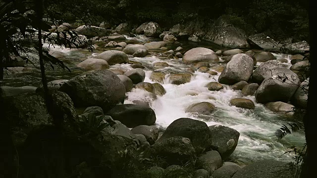 有急流的热带雨林河流视频素材