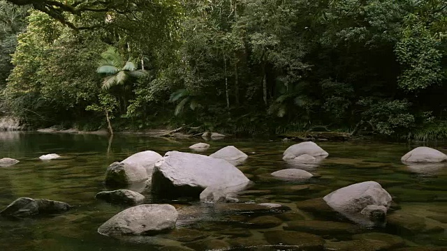 美丽的热带雨林河视频素材