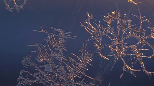 窗户上的雪花在超微距拍摄。视频素材