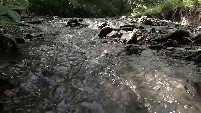 夏天森林里的慢镜头河视频素材