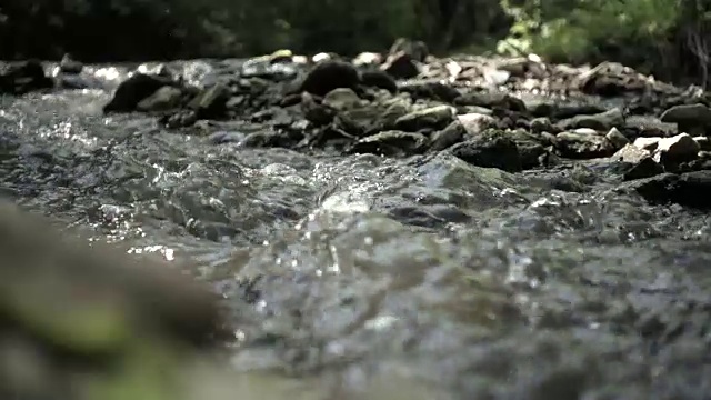 夏天森林里的慢镜头河视频素材