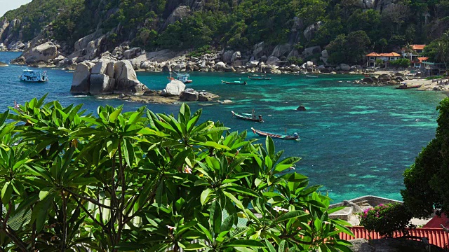 热带海滩。长尾船在海湾中，平静的海水荡漾着。游客们在附近浮潜。大鸡蛋花树被微风吹动在前景。Koh道、泰国视频素材