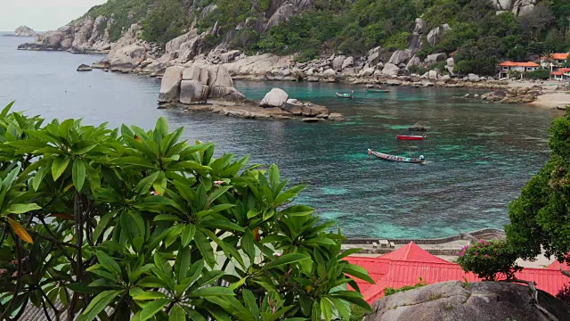 热带海滩的时间。长尾船在海湾中，平静的海水荡漾着。游客们在附近浮潜。大鸡蛋花树被微风吹动在前景。Koh道、泰国视频素材