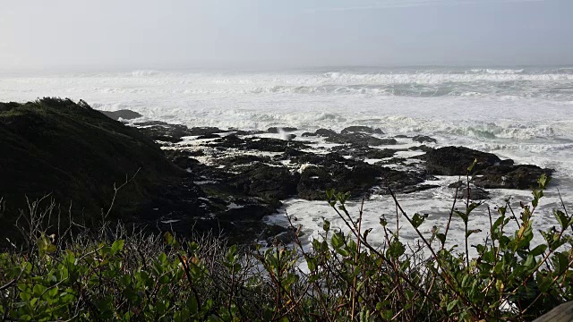 俄勒冈州的海浪在黑色熔岩的海洋平台上视频素材