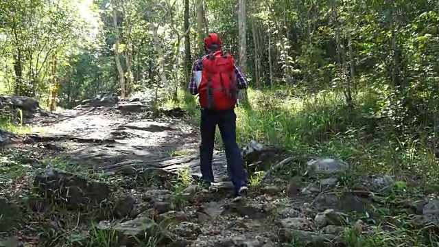 在森林里背着背包的资深徒步旅行者视频素材