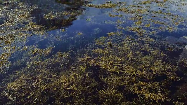 挪威的风景和景观:索格尼峡湾地区视频素材