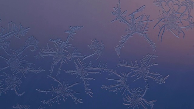 窗户上的雪花在超微距拍摄。视频素材