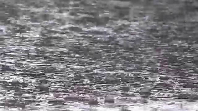 雨在地上落下和流动视频素材