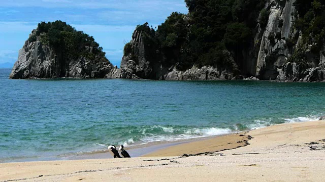 海滨沙滩上视频素材