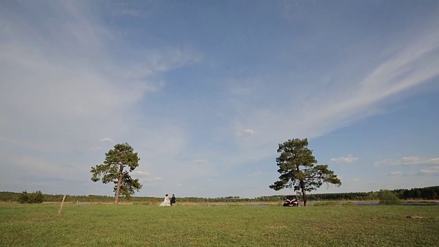 田野里的树木映衬着蓝天视频素材