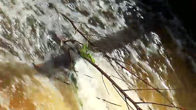 用泡沫煮沸废水视频素材