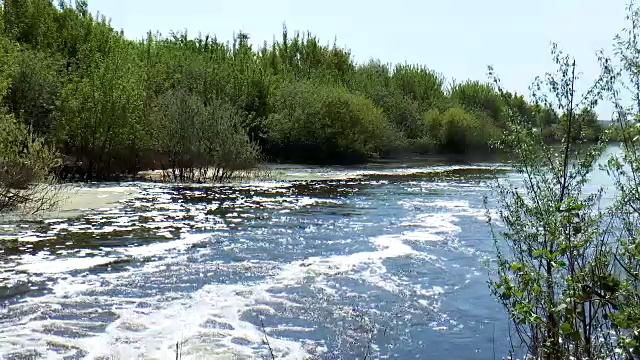 用泡沫煮沸废水视频素材