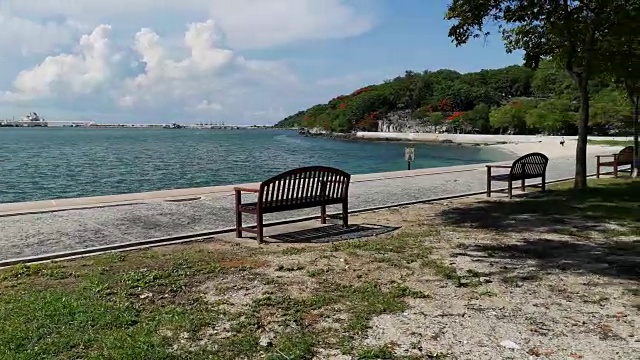 泰国春武里西昌岛海滩旁的鸡蛋花。视频素材