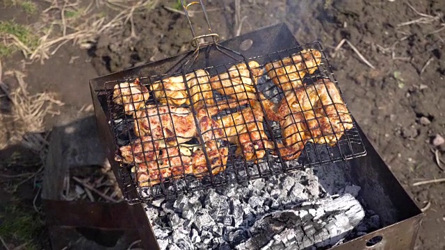 在夏日的篝火上做烤肉串视频素材