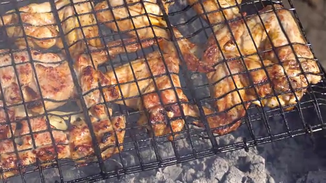 在夏日的篝火上做烤肉串视频素材