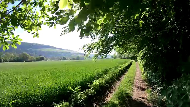 骑着自行车穿越冲积森林，自然森林，体验自然，4K视频素材