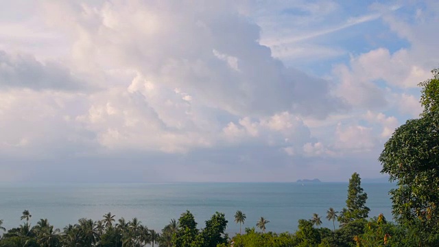 异国情调的椰子树在风中摇曳。热带海洋风景。田园诗般的天堂岛海滩。视频素材