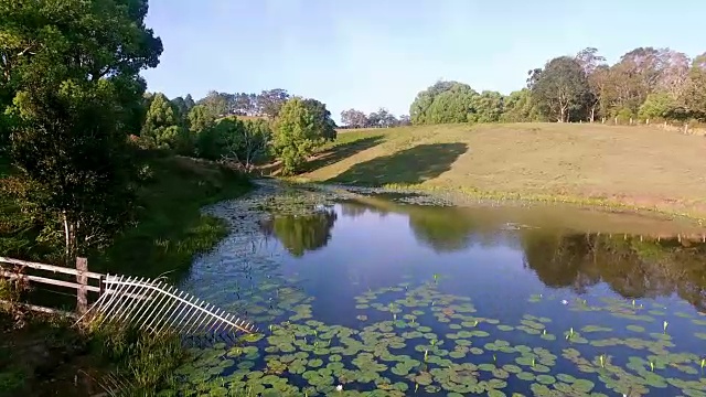 鸟瞰鱼塘田园风光视频下载