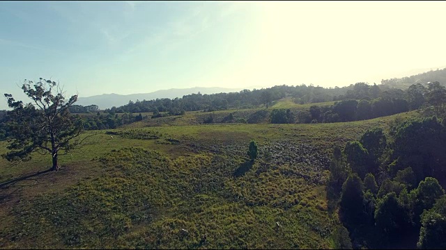 动物在山坡上的澳大利亚农村财产视频素材