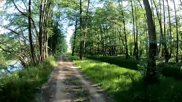 骑着自行车穿越冲积森林，自然森林，体验自然，4K视频素材