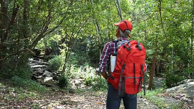 在森林里背着背包的资深徒步旅行者视频素材