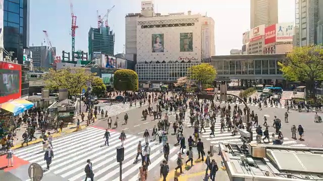 涩谷人行横道视频素材