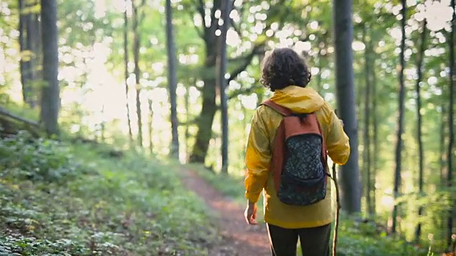 年轻人在森林里徒步旅行视频素材