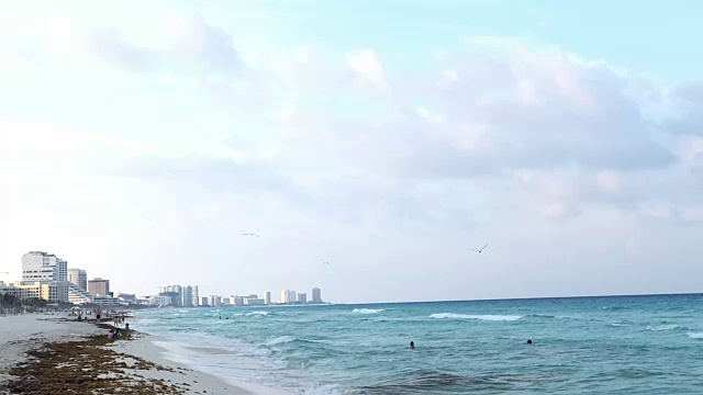 慢镜头的下午和海鸥视频素材