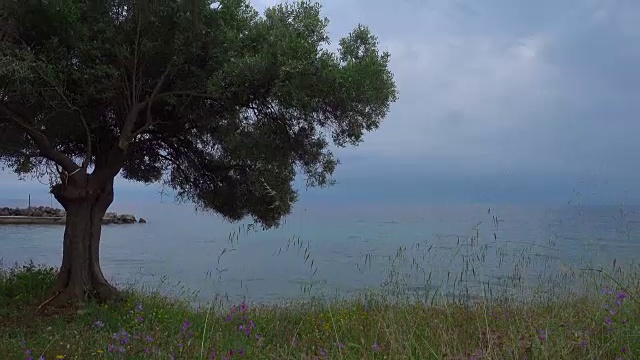 这是一个阳光明媚的日子，夕阳西下，在希腊平静的海边视频素材