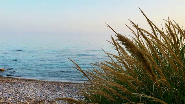 这是一个阳光明媚的日子，夕阳西下，在希腊平静的海边视频素材